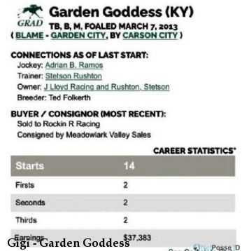 Gigi - Garden Goddess